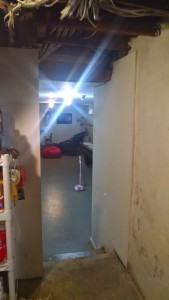 Basement before remodel
